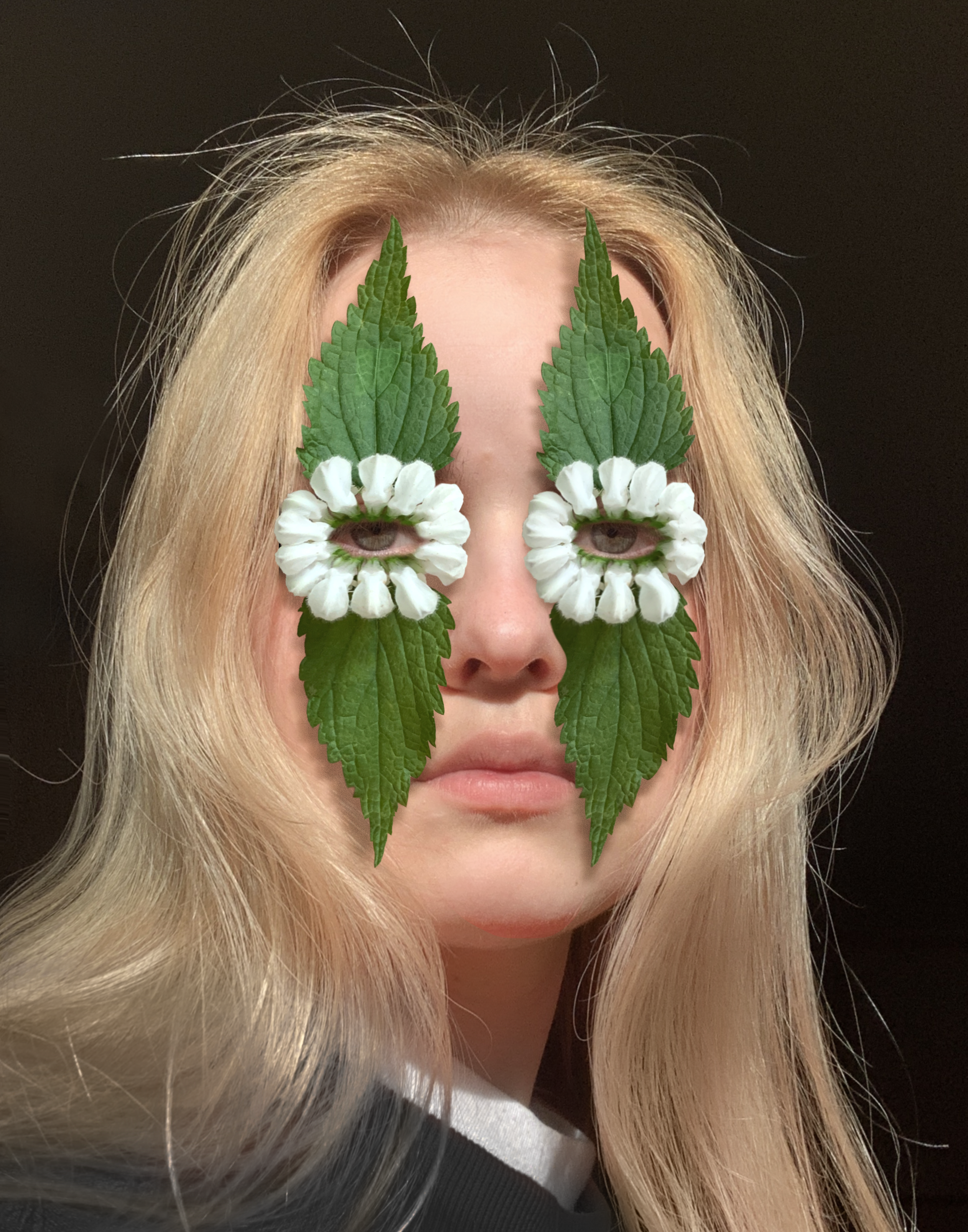 THE FLOWER ARTIST