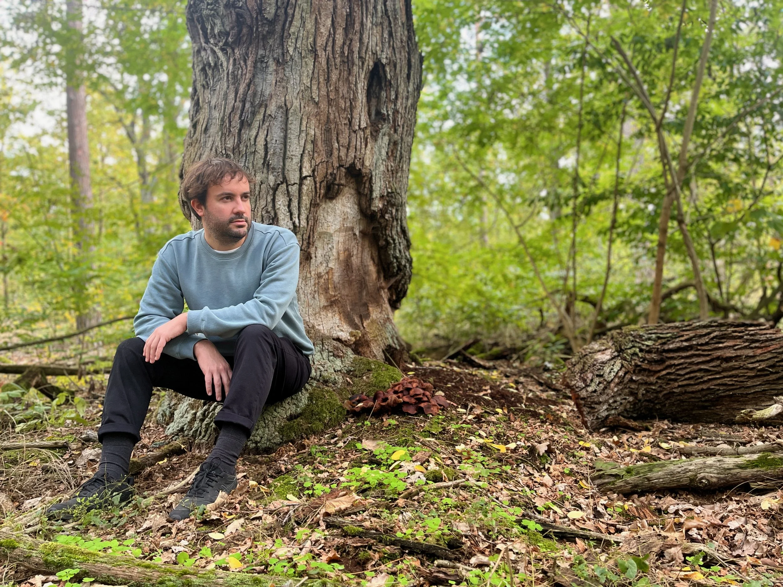 SONIC GRUNEWALD FIELDS  AN ALEJANDRO MOSSO ALBUM