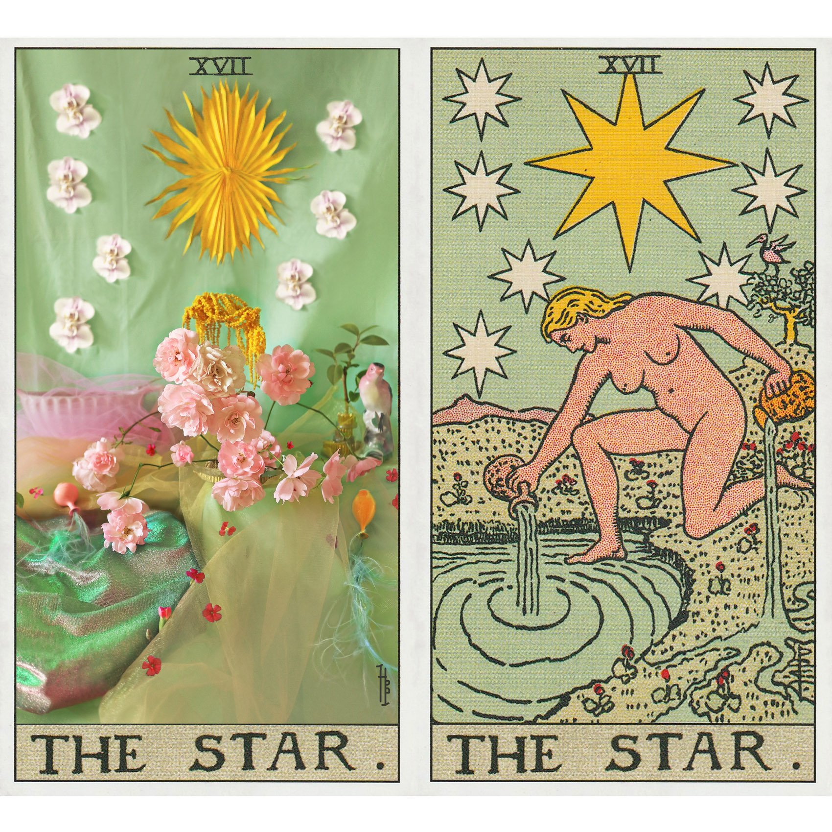the star tarot-pamela colman smith - flower interpretation harriet parry.web copy.jpg