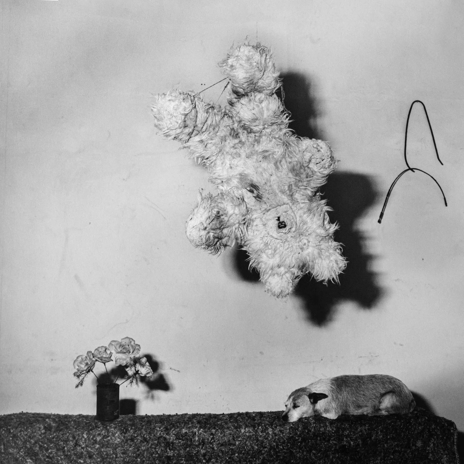 Roger Ballen – A Journey through the Ballenesque