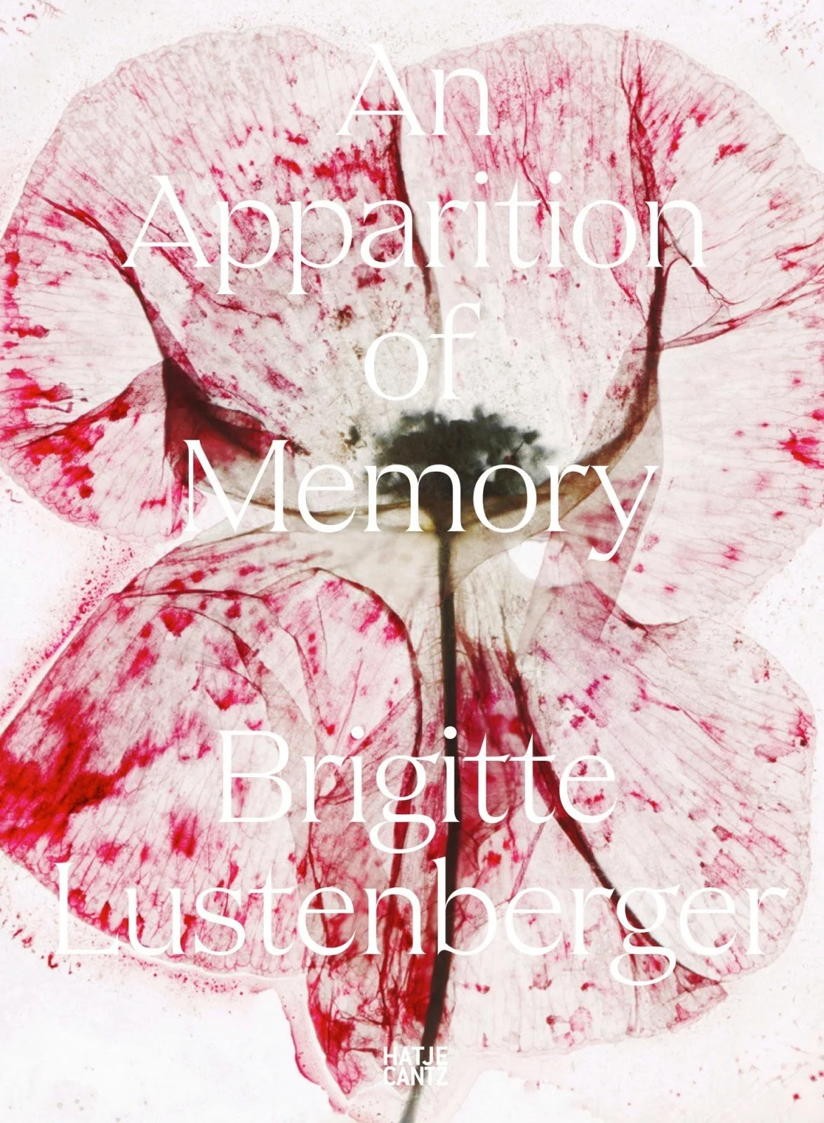 Brigitte Lustenberger | An Apparition of Memory