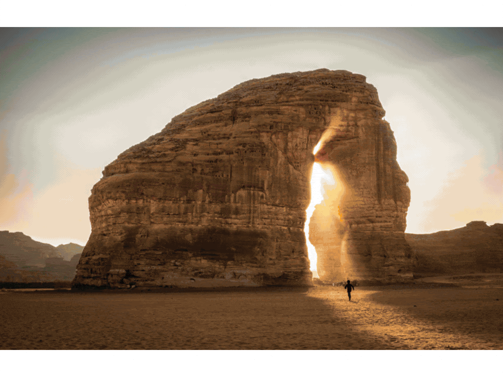 Celebrating the Art of Photography