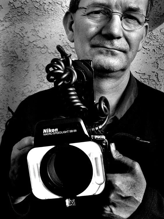Martin Parr: A Legacy of Radical Attentiveness