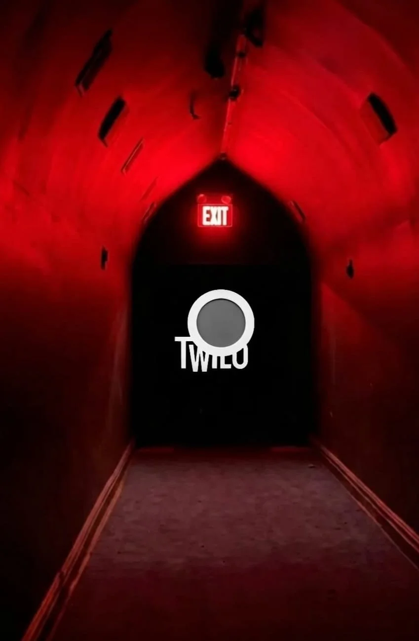 Twilo Came Back for One Weekend and Nobody Wanted to Leave