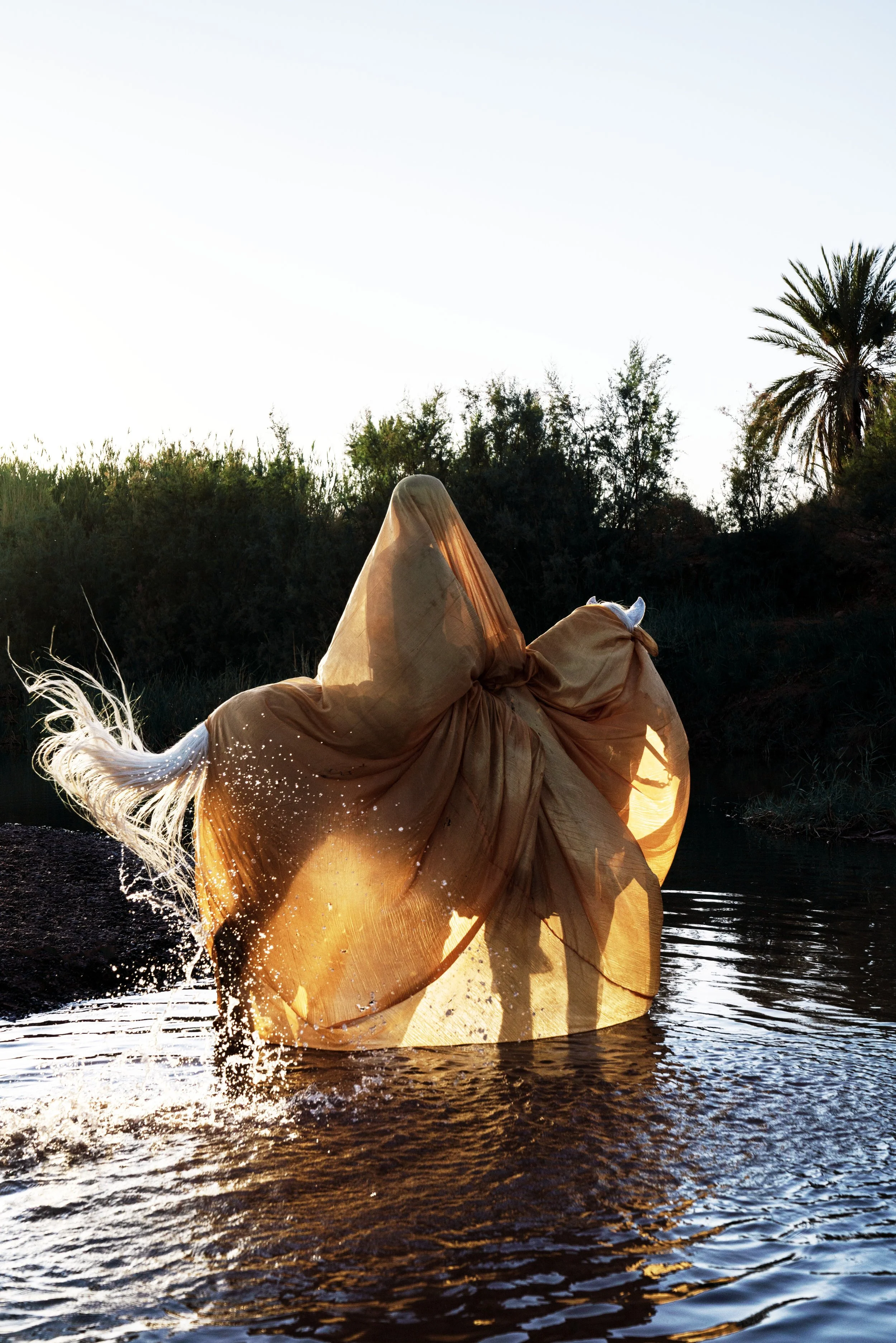 Sabrina Charehbili Doesn't Photograph Answers