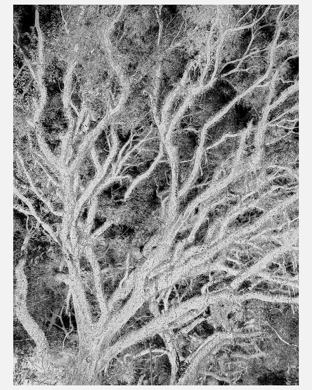 Uxio Davila Photography