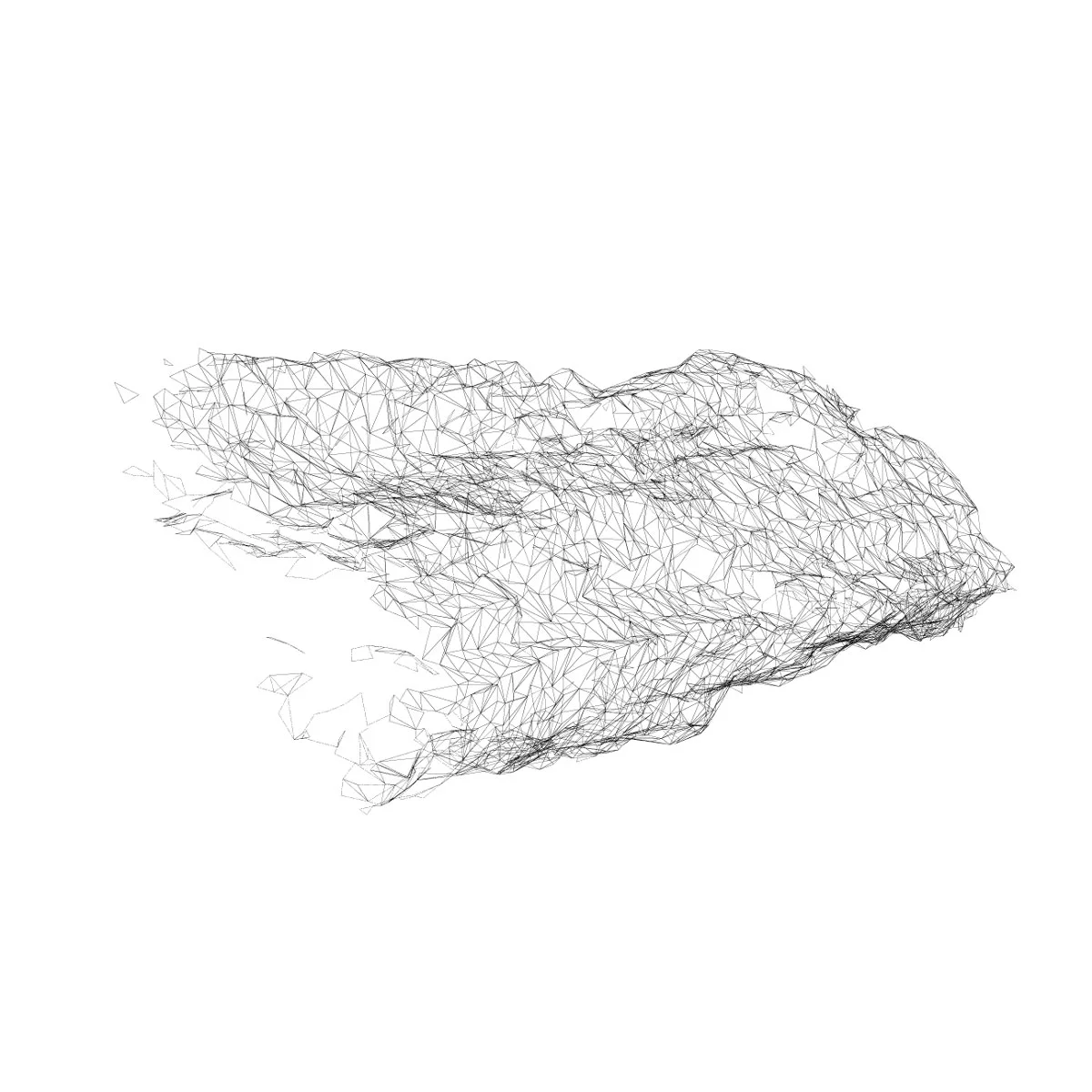 wood_scan_1.jpg