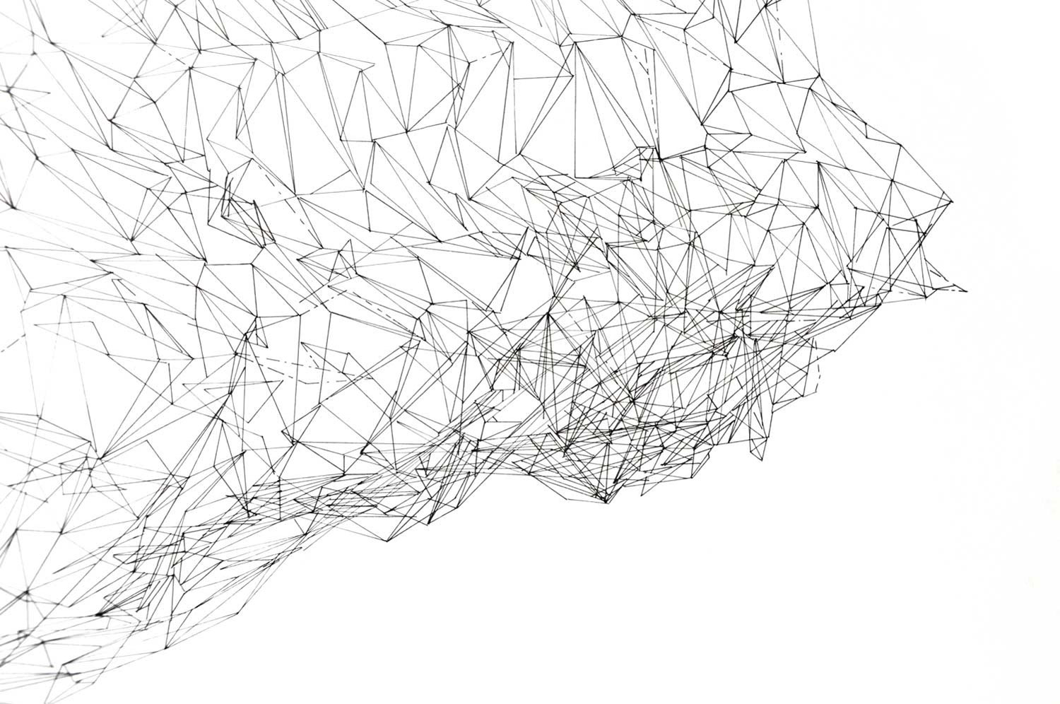 wood_scan_2.jpg