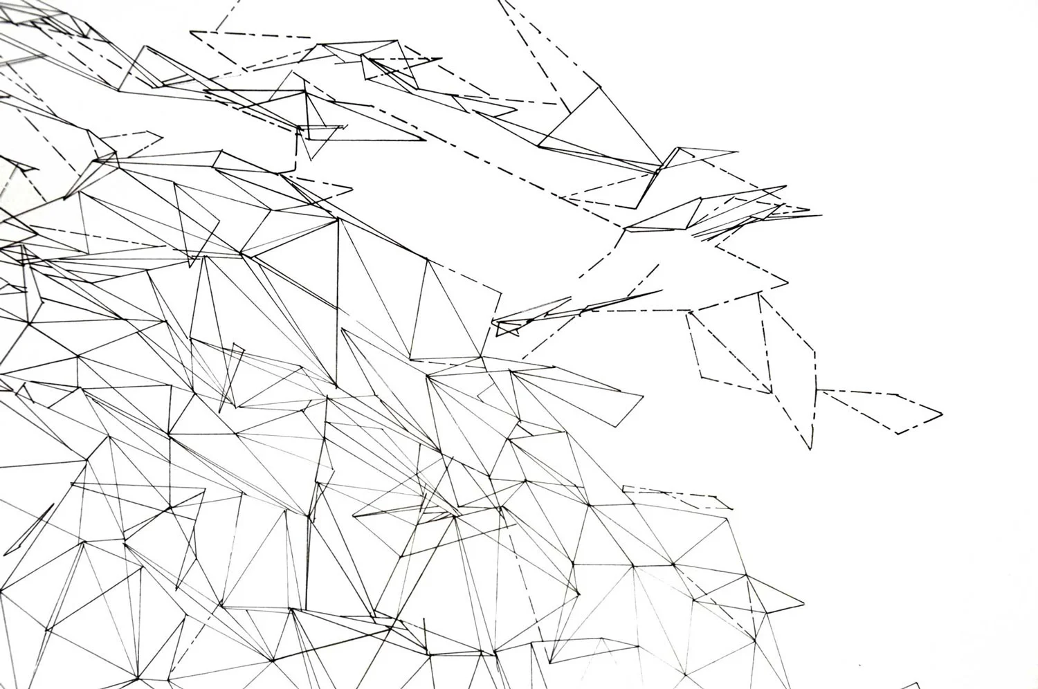 wood_scan_4.jpg
