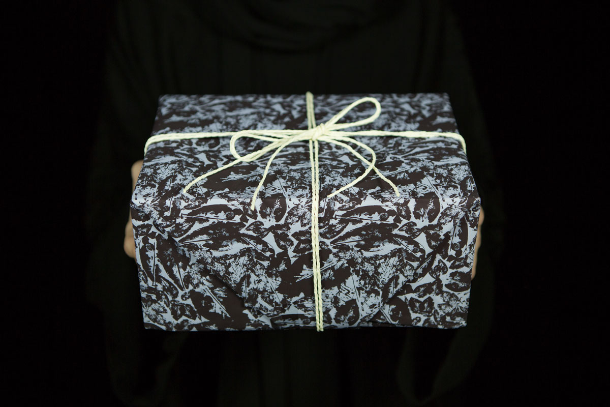 hessa_albaker_surface_s16_giftwrap-3099.jpg