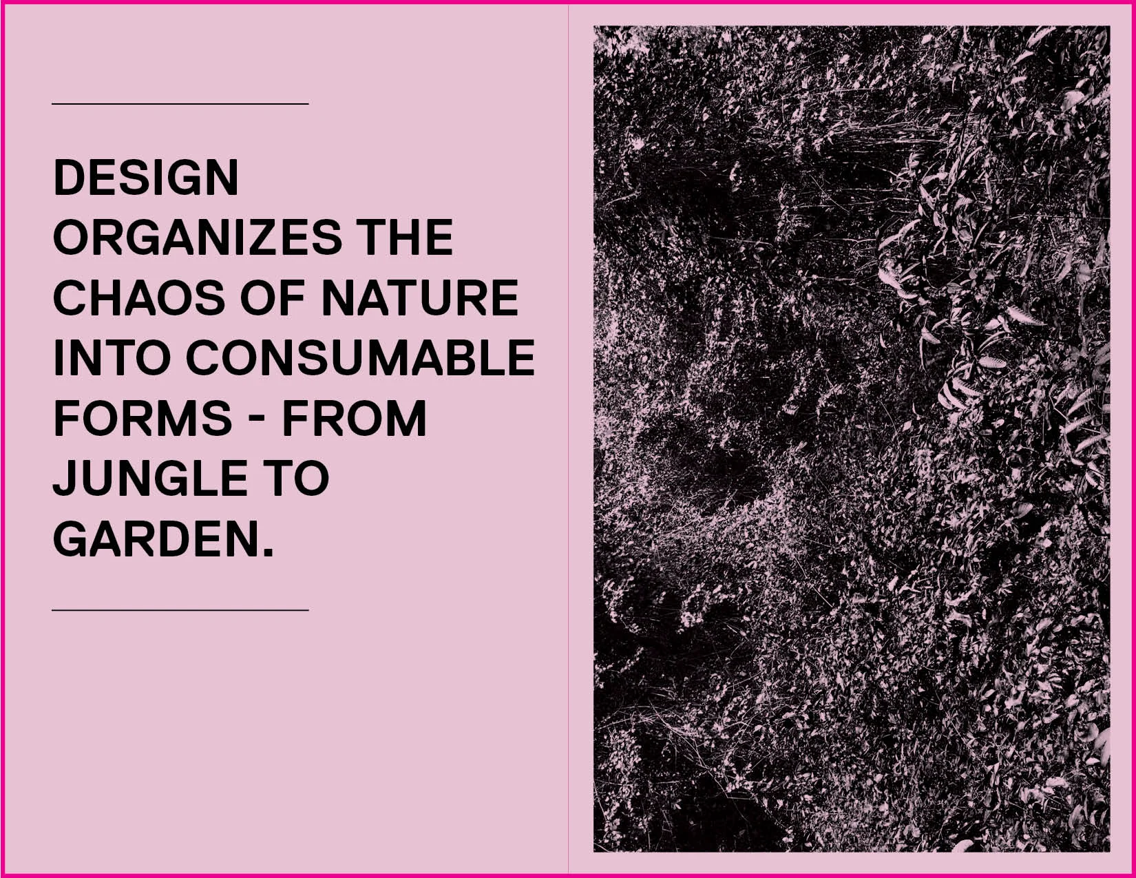 caa_zine_spreads2.jpg