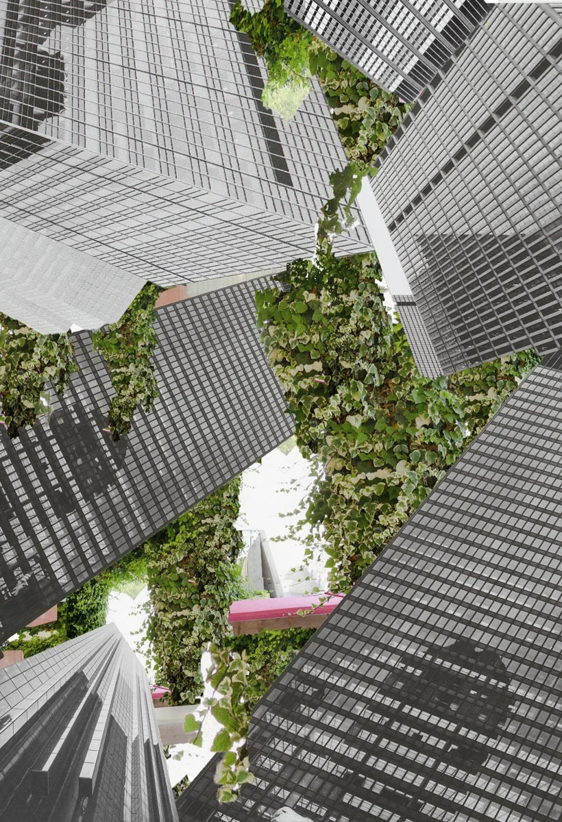 surface_f16_collage_malakmortada.jpg