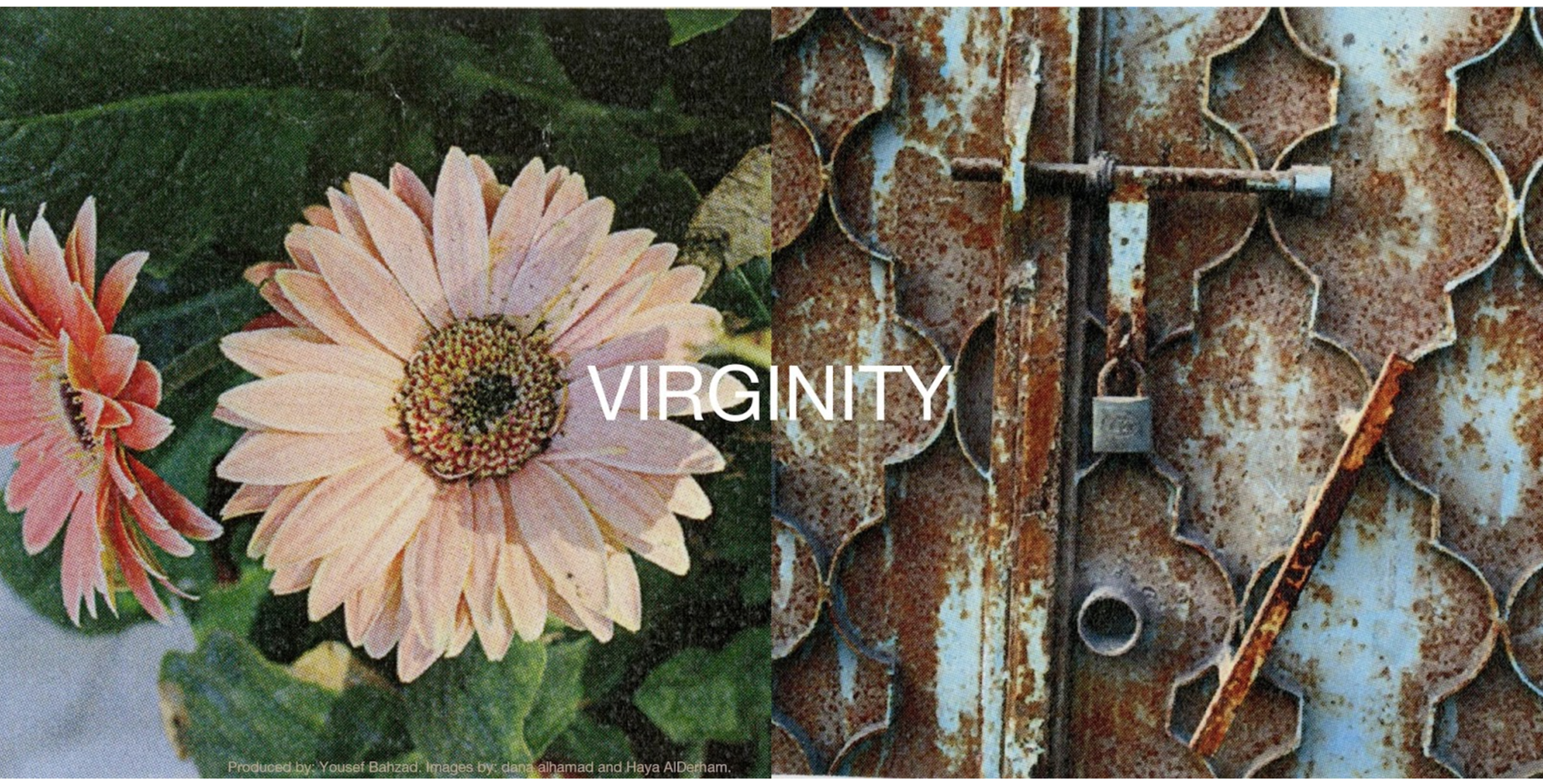editorial_lens1.png