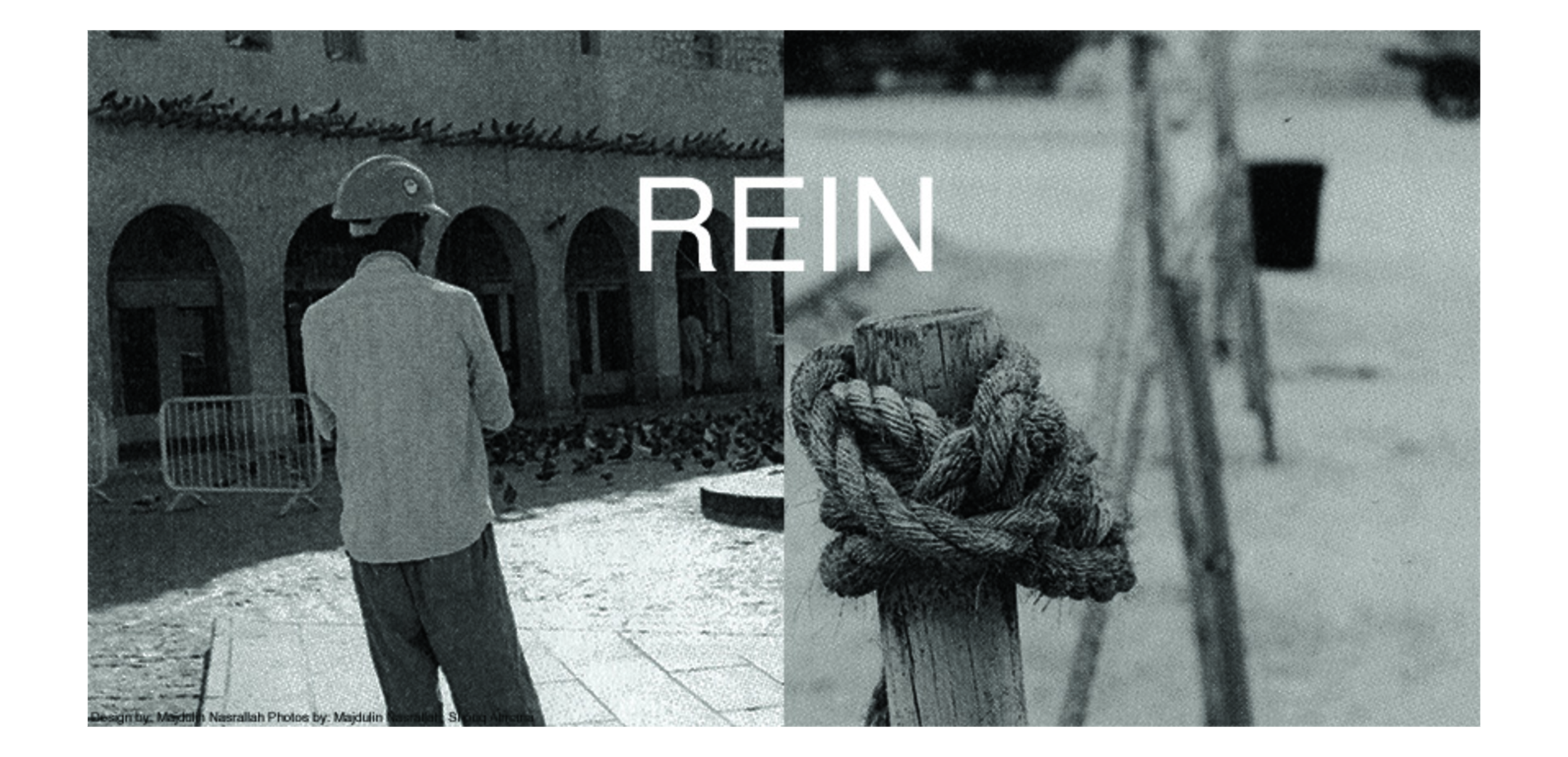 editorial_lens3.png