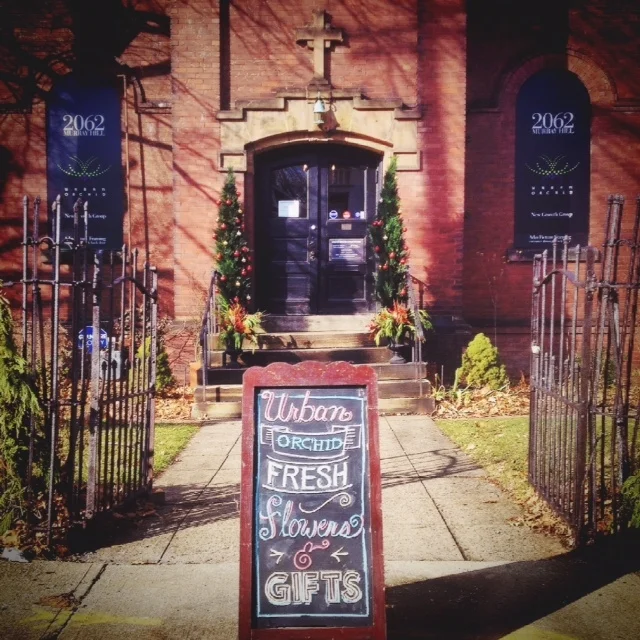 Urban Orchid Little Italy