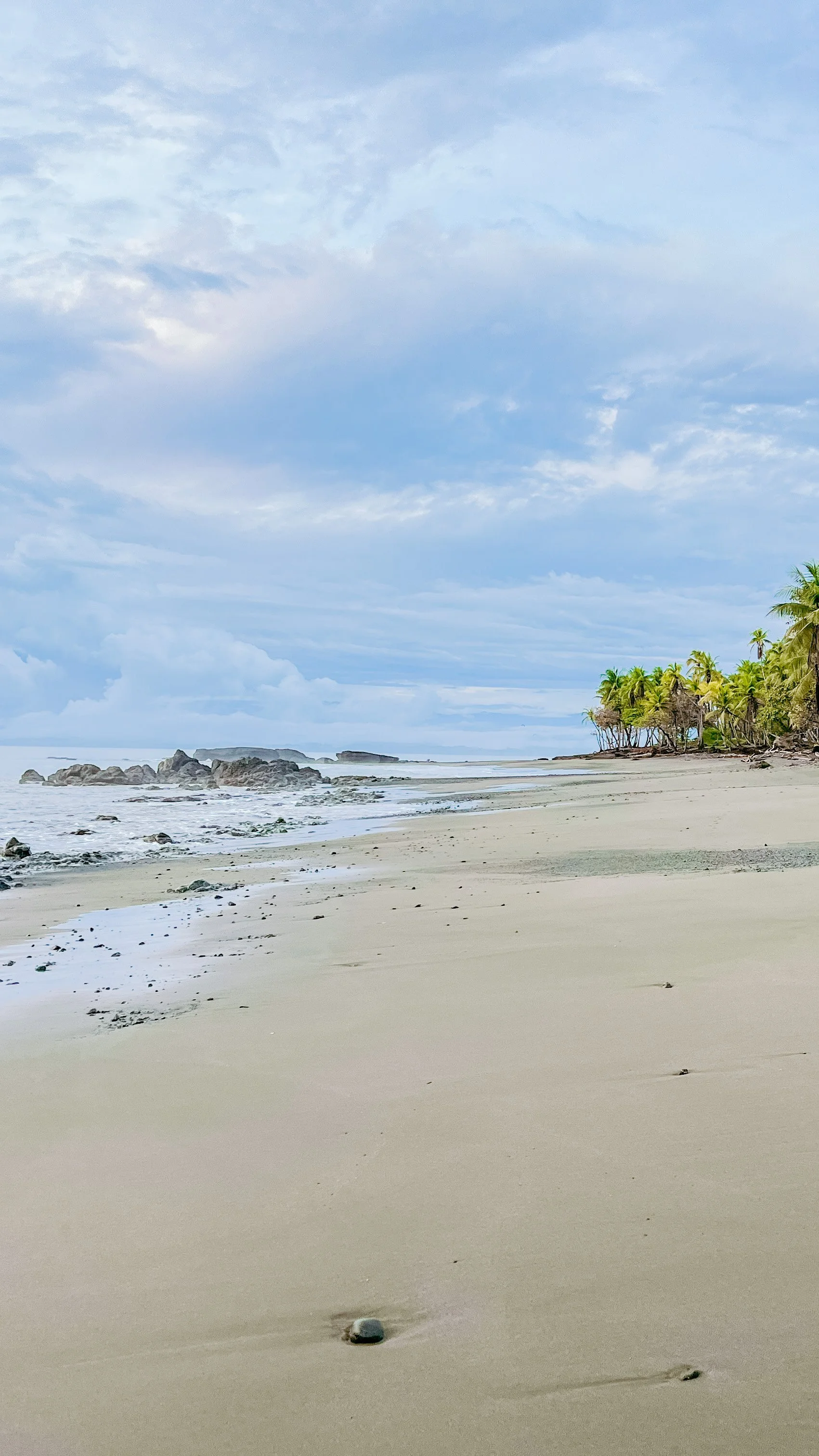 New Year's Day Somatic Breathwork Journey at DRIFT