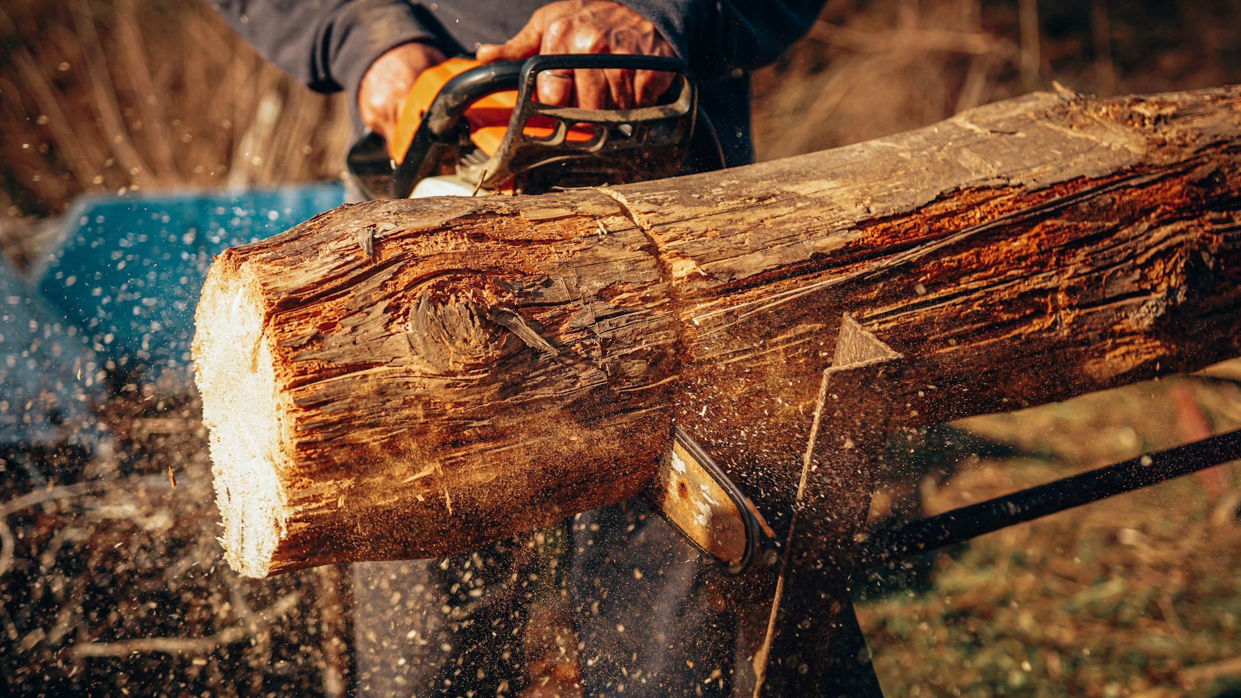Chainsaw Management