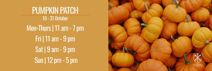 Pumpkin Patch