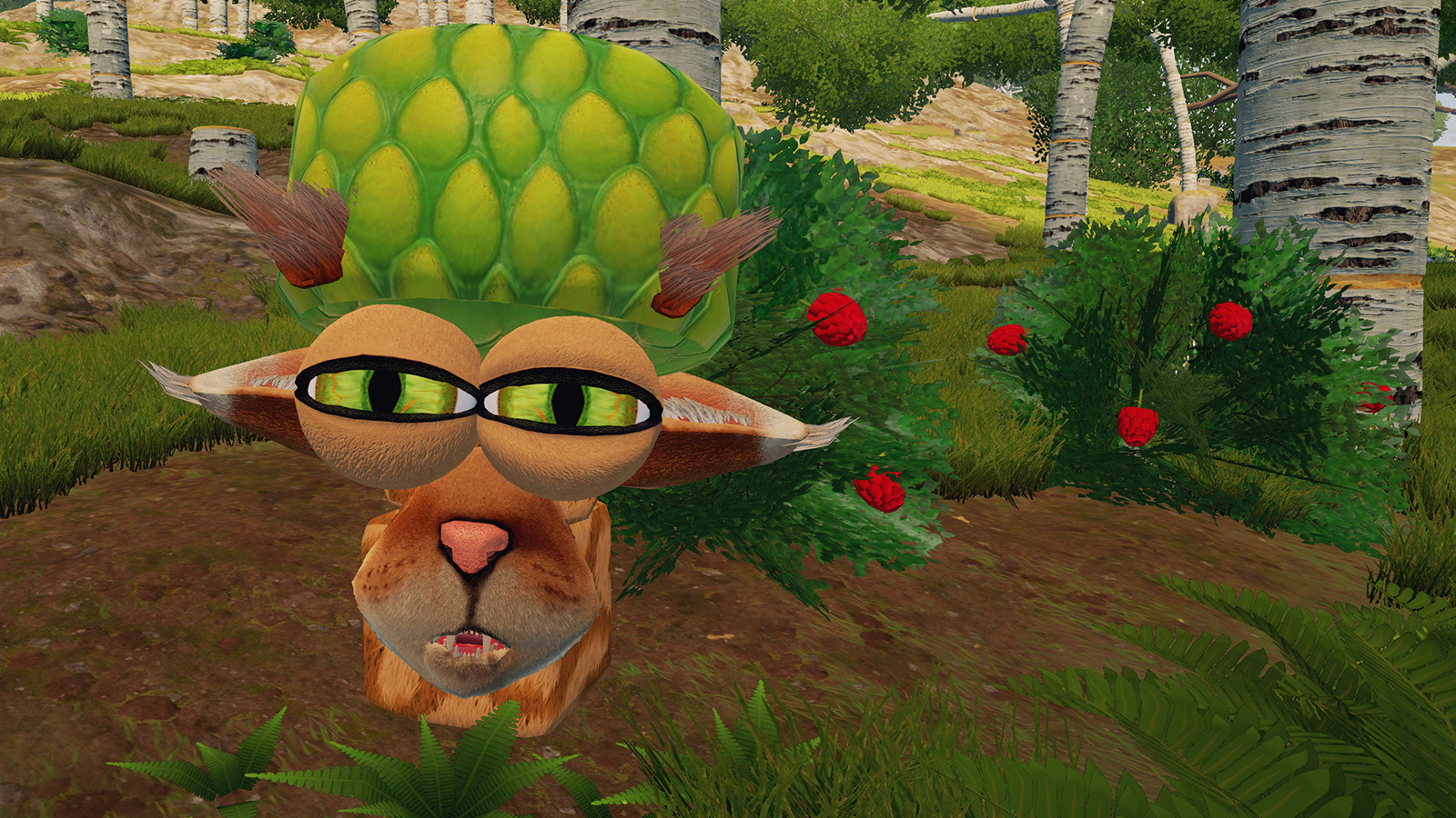 suspicious_hat_cat.jpg