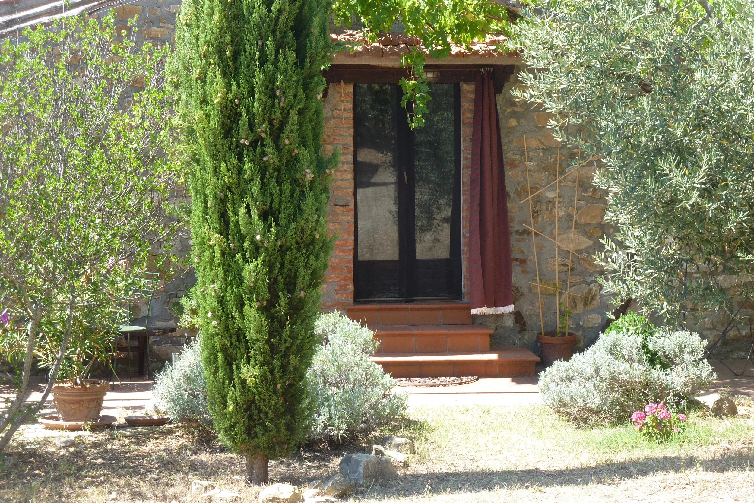 Obere Terrasse