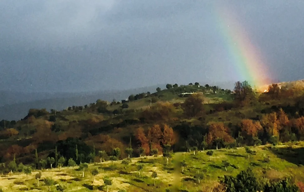 Regenbogen.jpg