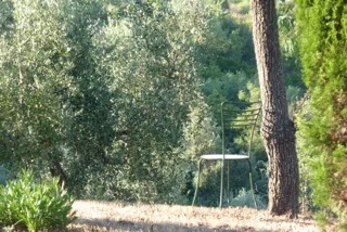 P1240647.jpeg