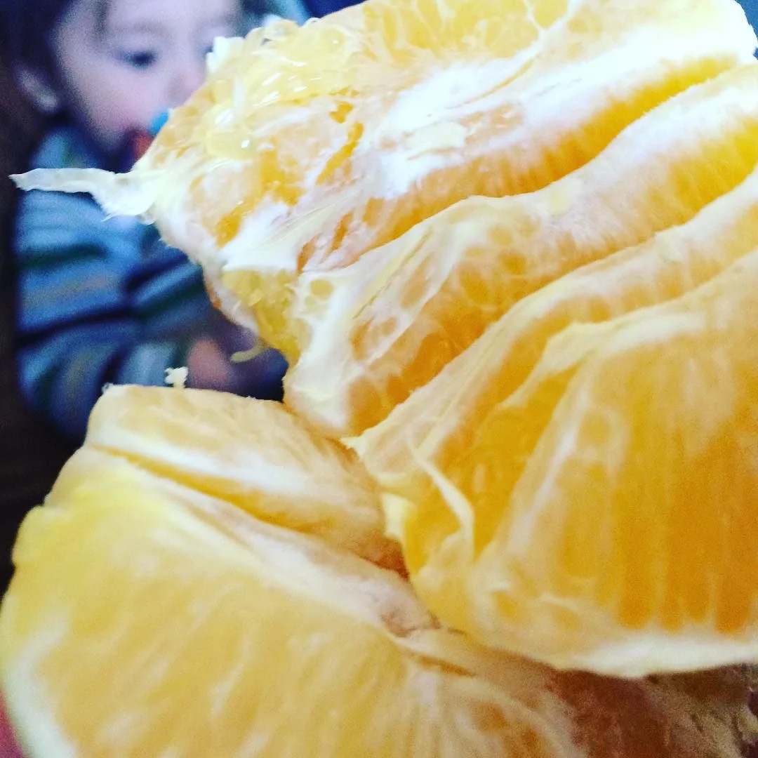 #Oranges: a great #snack for traveling. Easy to carry, easy to peel. Boost your immune system while also making the plane smell nice :) #cancun #xmas #healthywhiletraveling #healthytravels #boostimmunity #lazynutritionist #lazynutritionist #bushwick #bushwicknutrition http://ift.tt/1IiDQmi