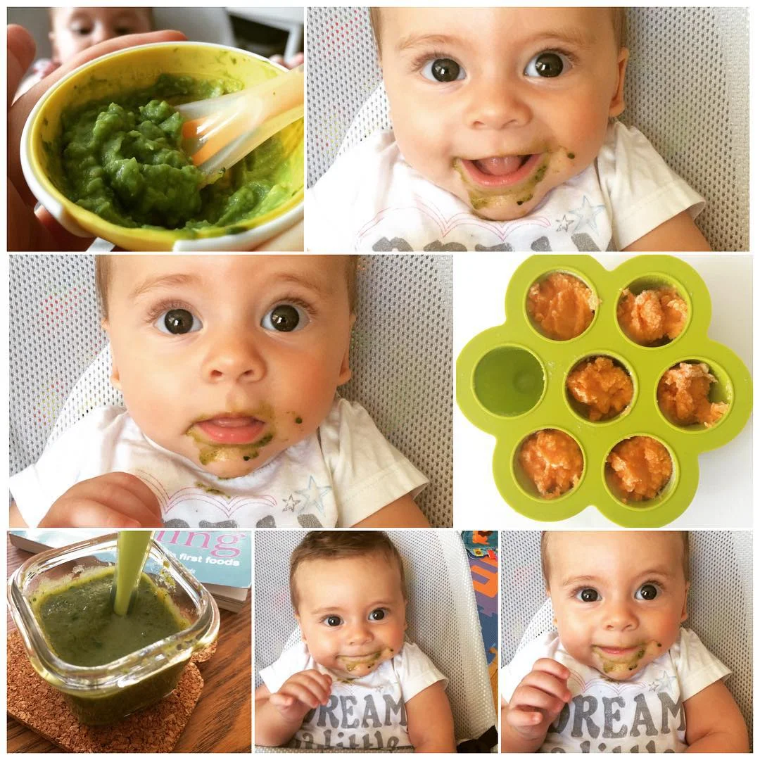 A very proud mama moment :) Theo started experimenting with solids a little over a week ago. We started with #avocado, of course, to solidify his Mexican roots! and have since tried sweet potato, carrots, peaches, banana, pears, and now #spinach! He’s loved every one of them. I’ve also managed to #bulkcook some veggies into 1-2 ounce servings. Both carrots and sweet potatoes took about 1.5 hours, only because the sweet potato had to cook for an hour. And you only need a pan and blender- no fancy equipment necessary. #proudmom #firstfoods #kidsnutrition #blendingfoods #dream #theoAcampos #lazynutrition #lazynutritionist #bushwick #bushwicknutrition #healthykidfoods