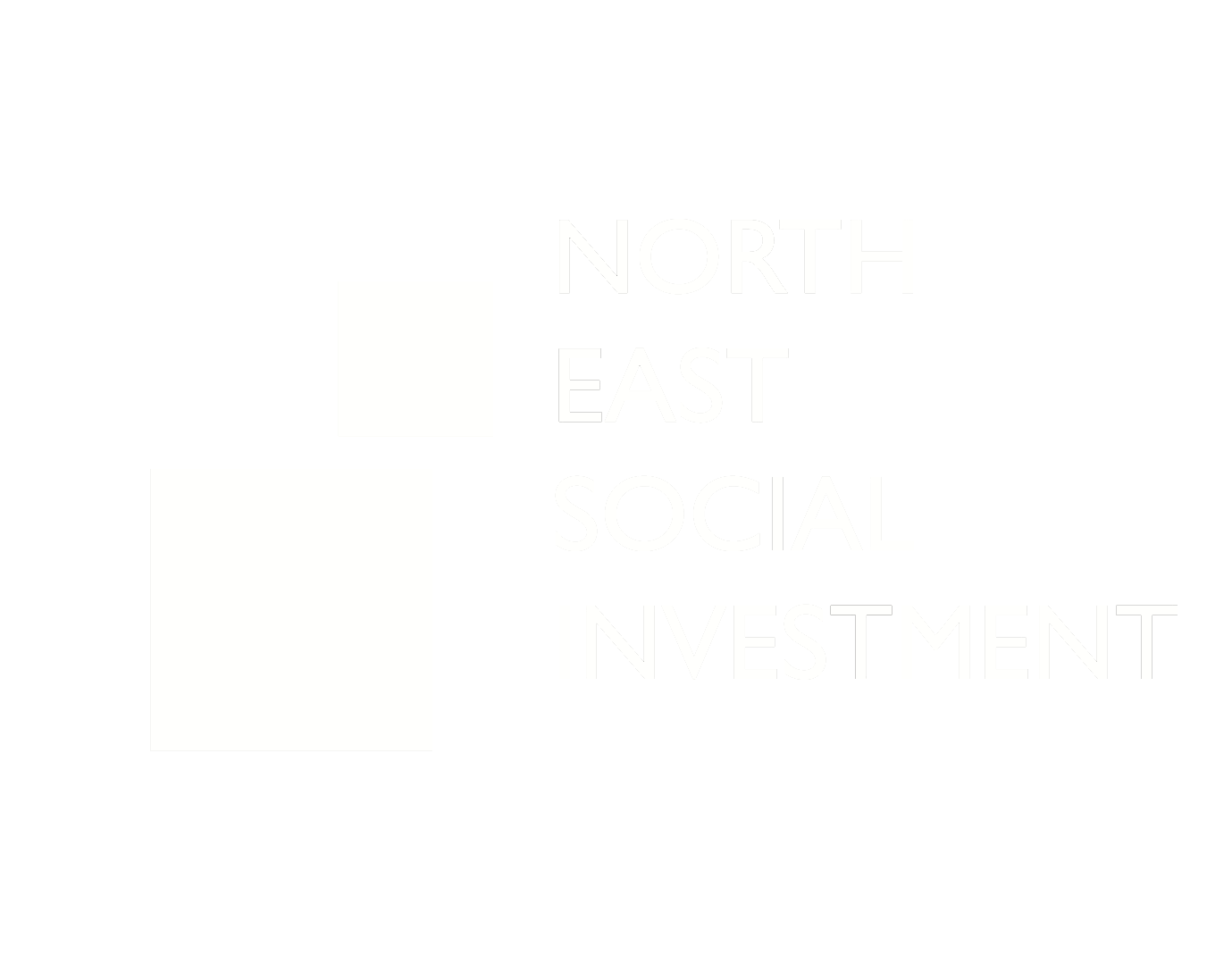 North East Social Investment