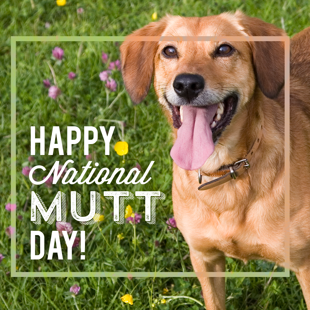 PPW_NationalMuttDay_FB.png