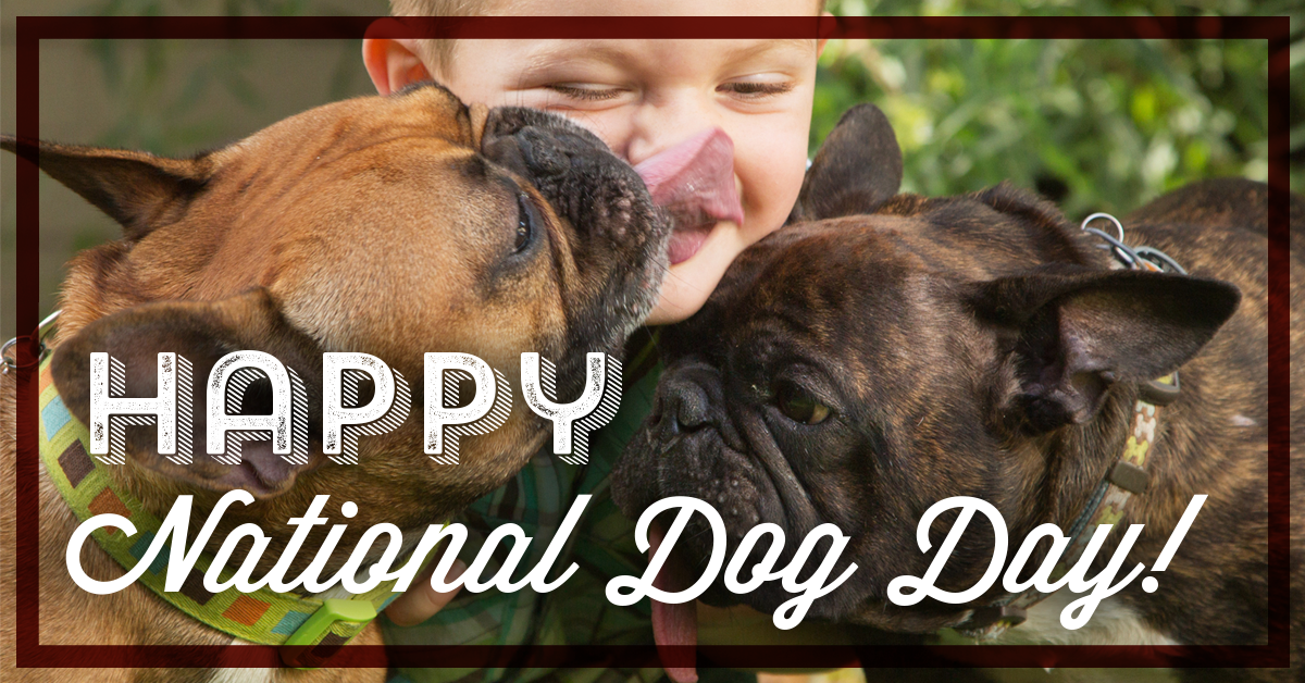 PPW_NationalDogDay_FB.png