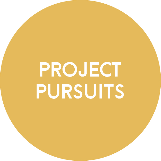 projectpursuit.jpg
