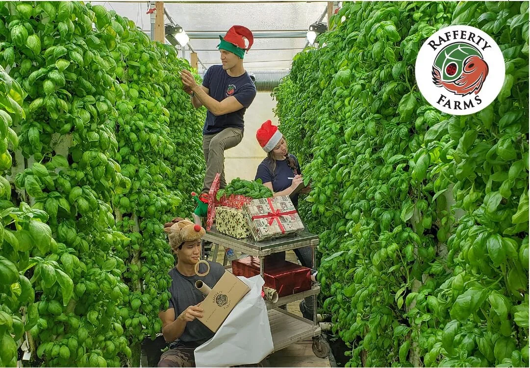 Merry Christmas - 2019