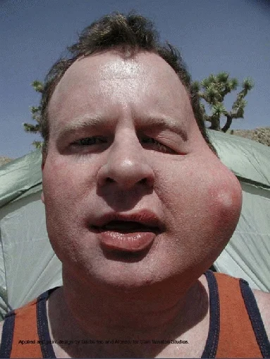 larry_sun4.jpg
