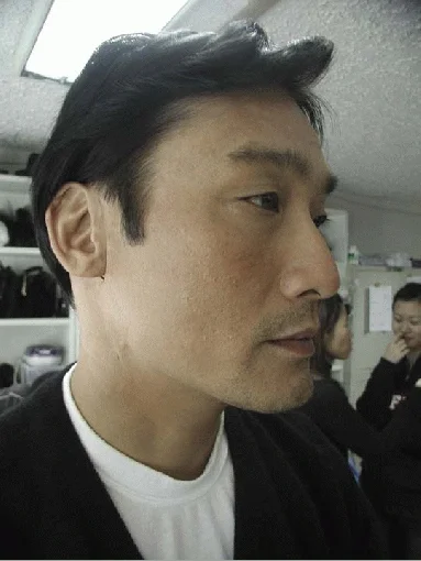 tonyleung20w.jpg