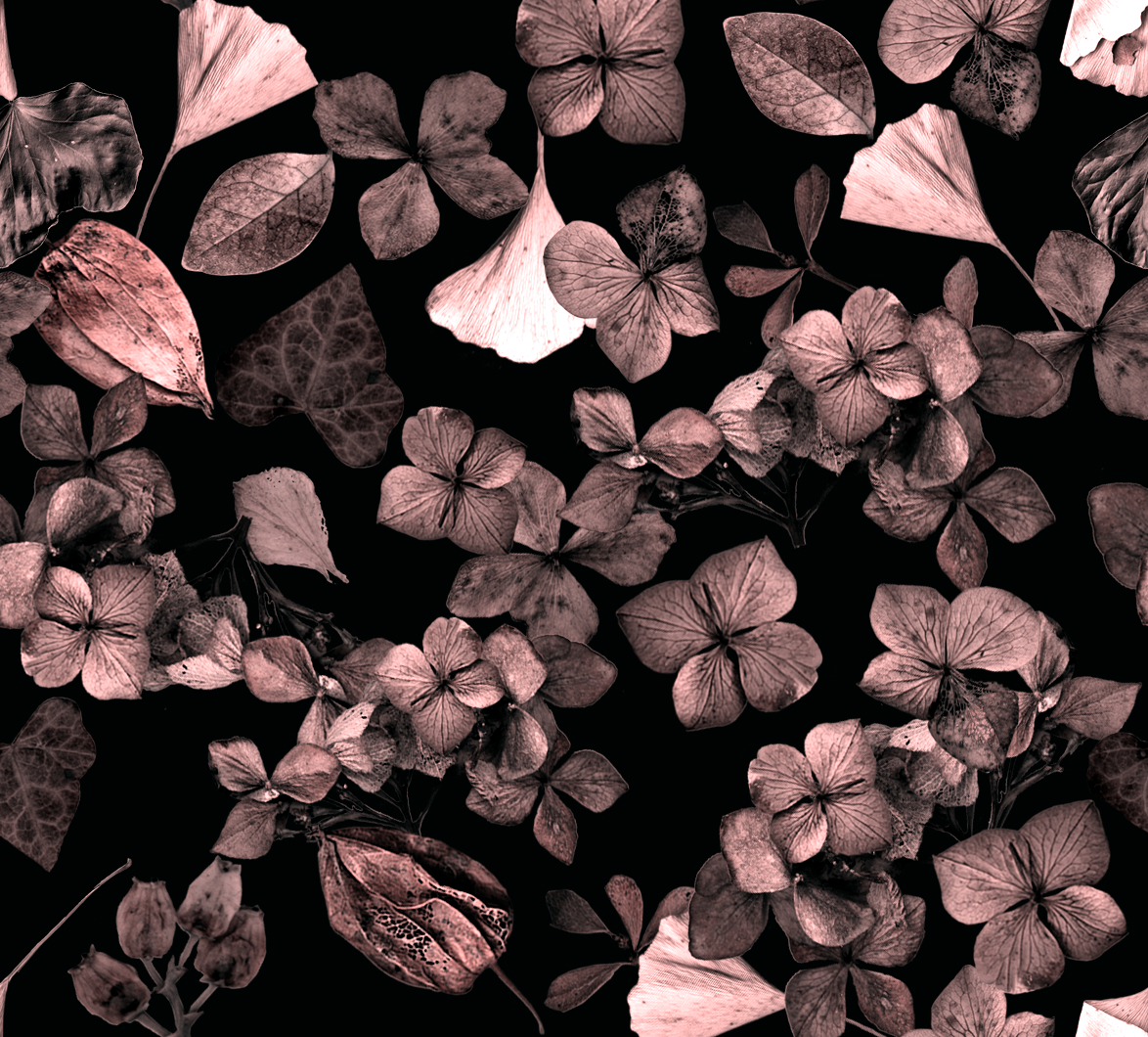 Variante_01 (1).png
