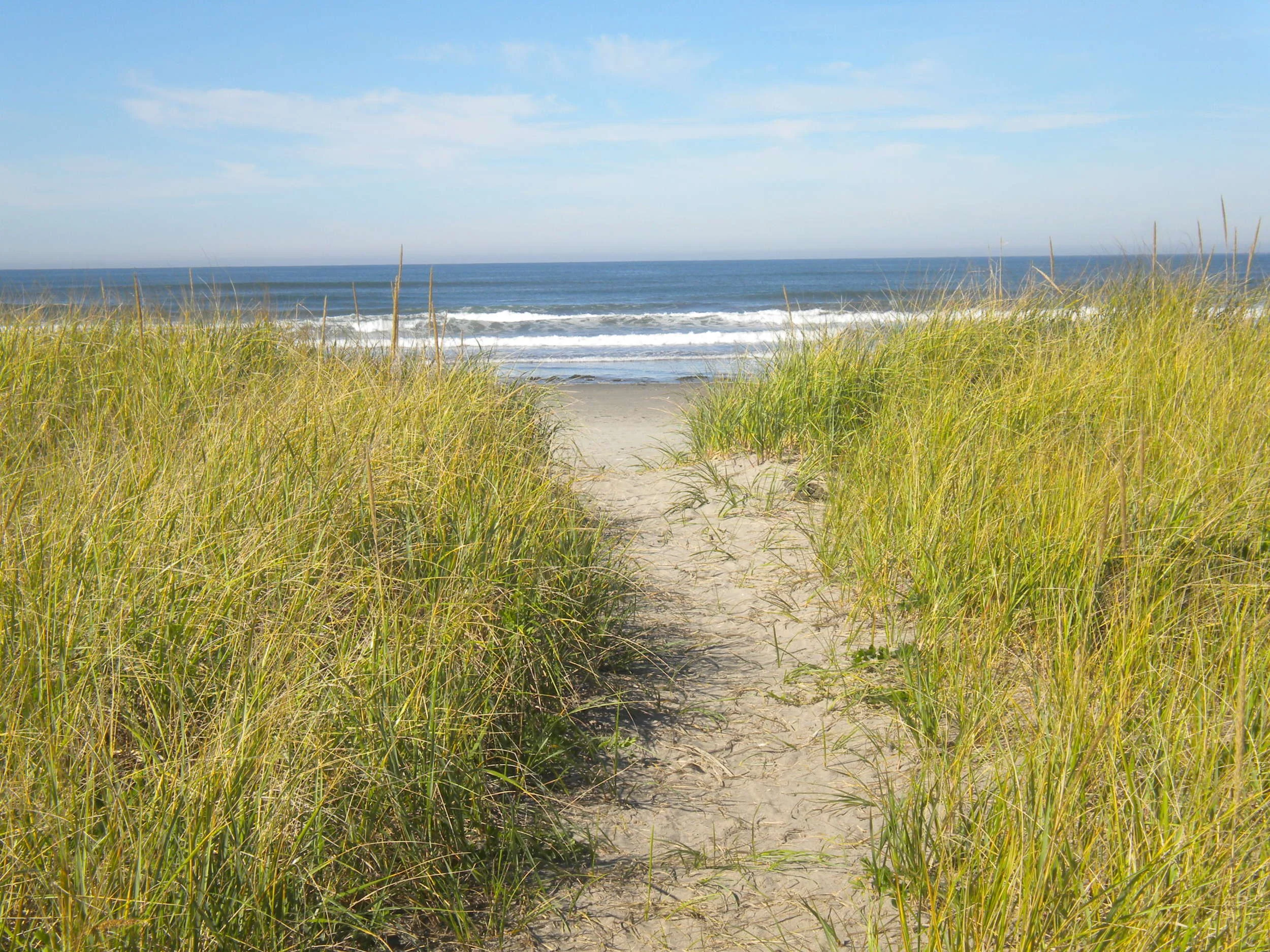 Mindful Mondays: Letting Go of the Things We Can't Control