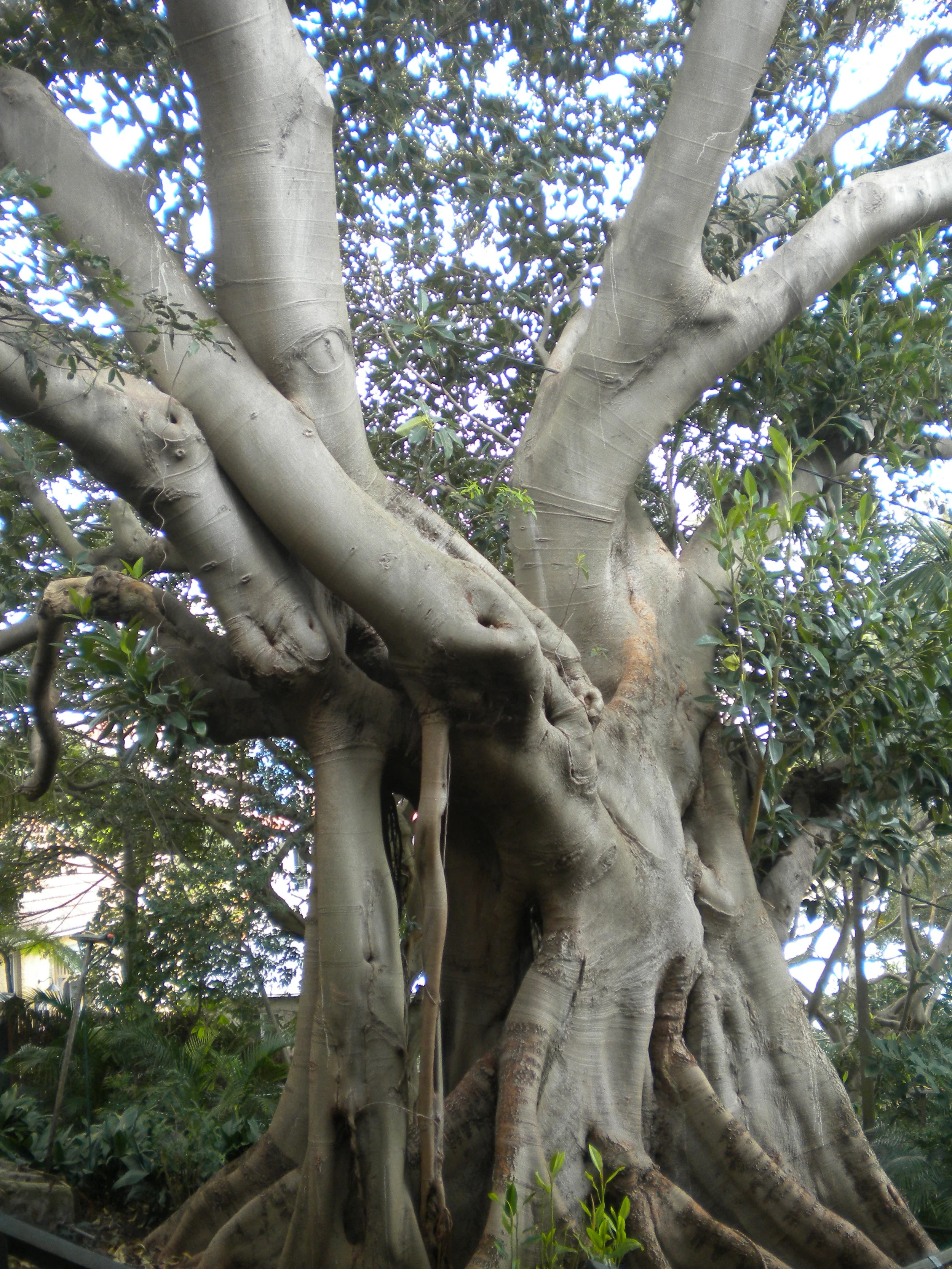 Mindful Mondays: Wisdom from the Elders