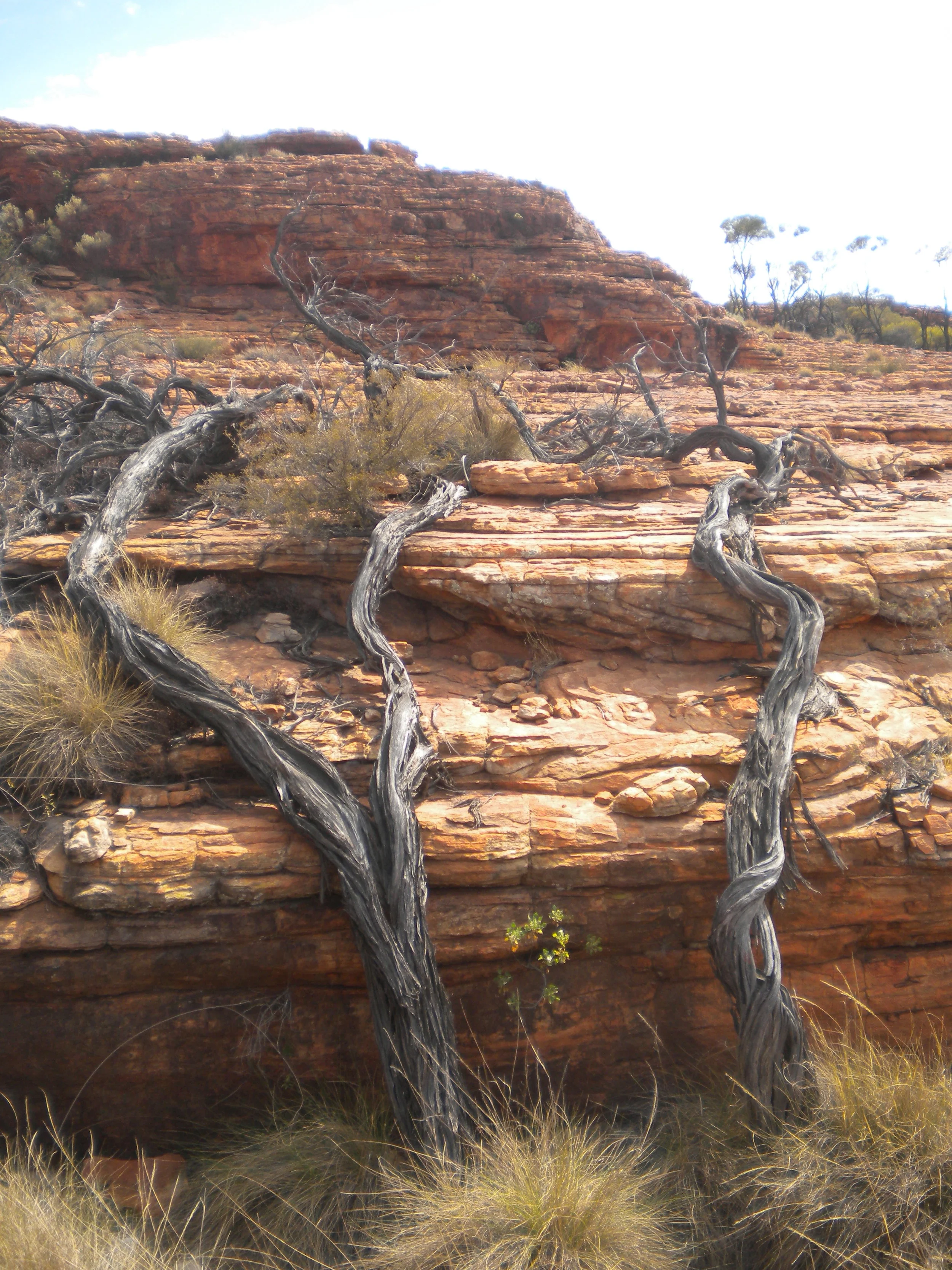 Mindful Mondays: When Life Is Hard