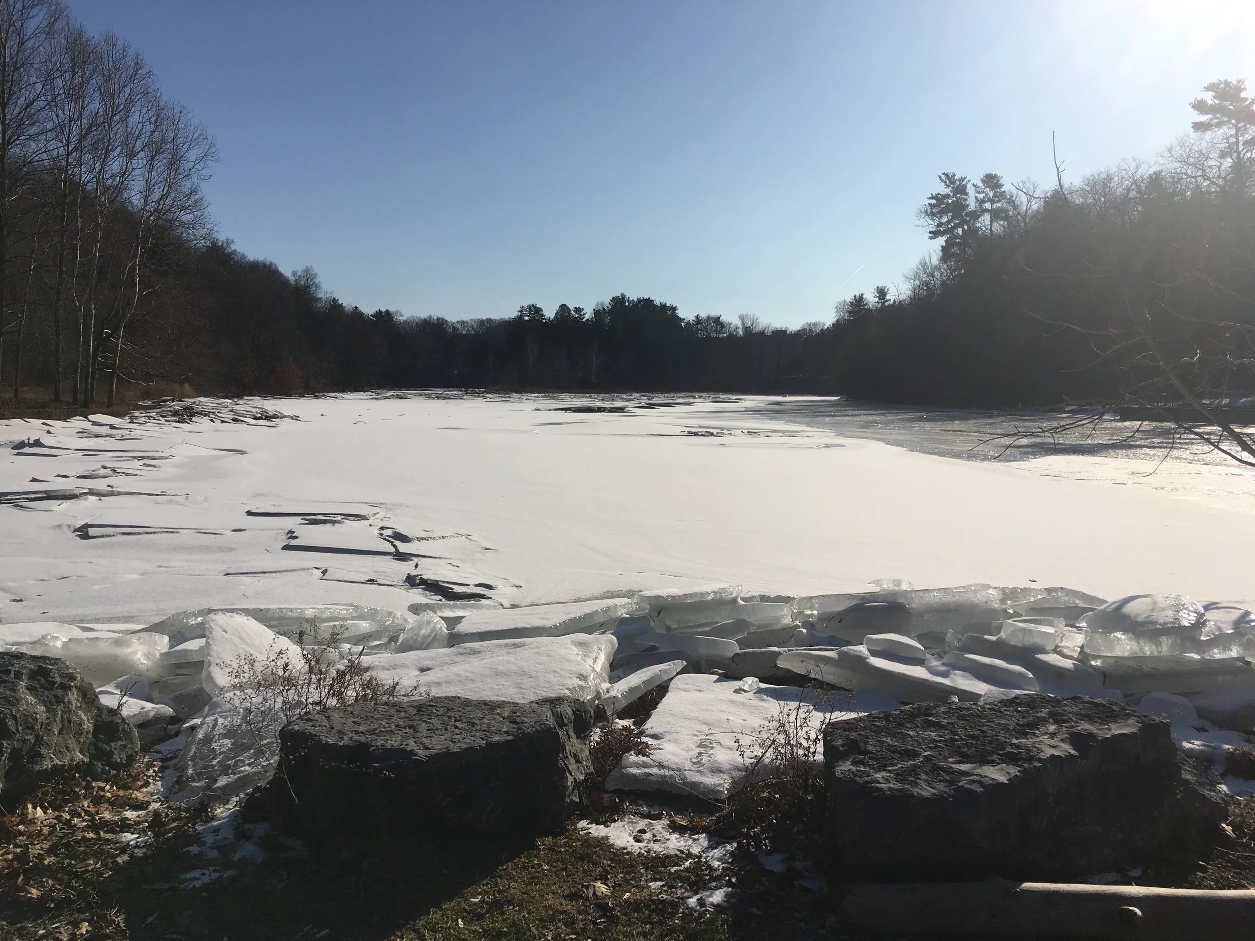 Mindful Mondays: Inner Voice