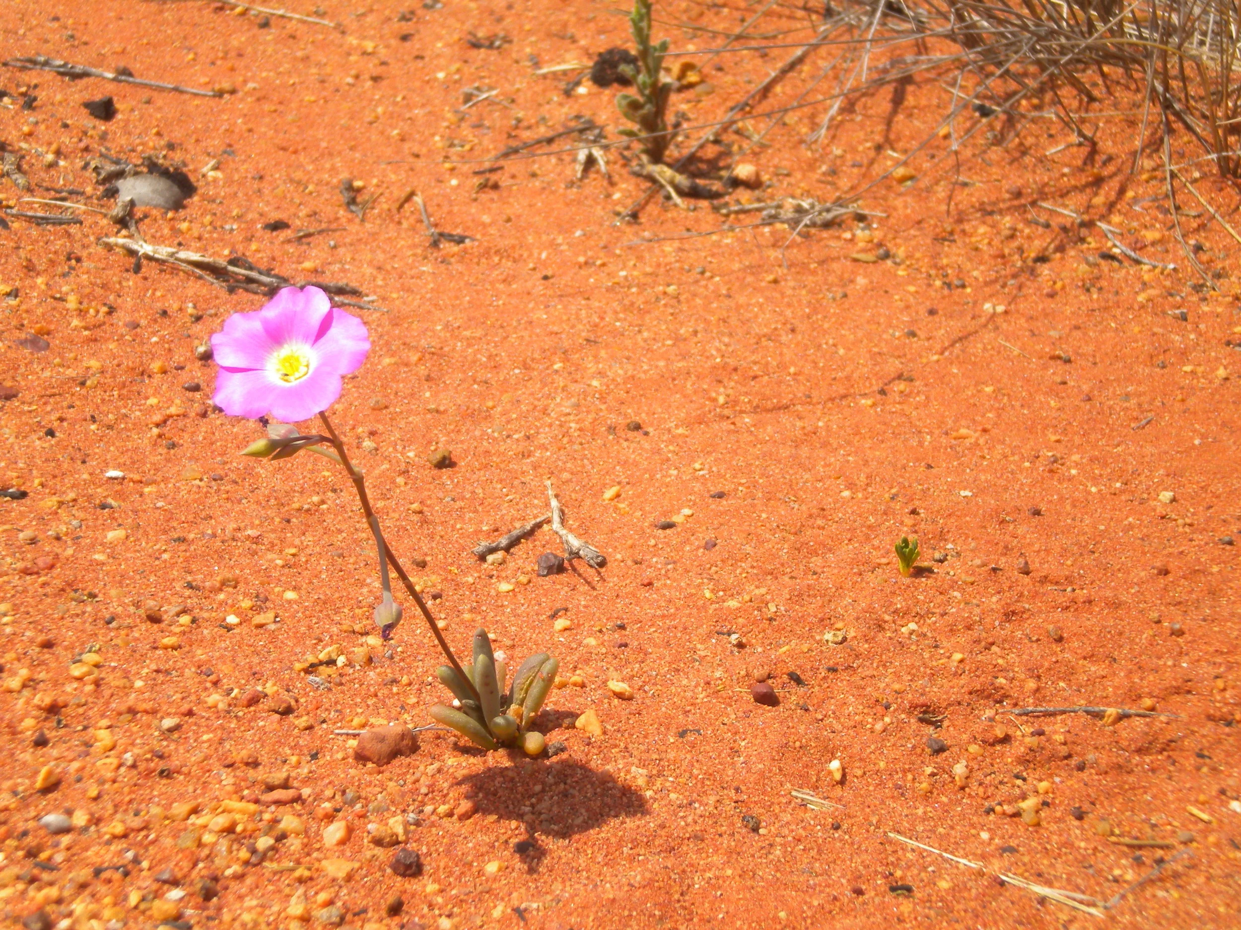 Mindful Mondays: A Meditation for the Children