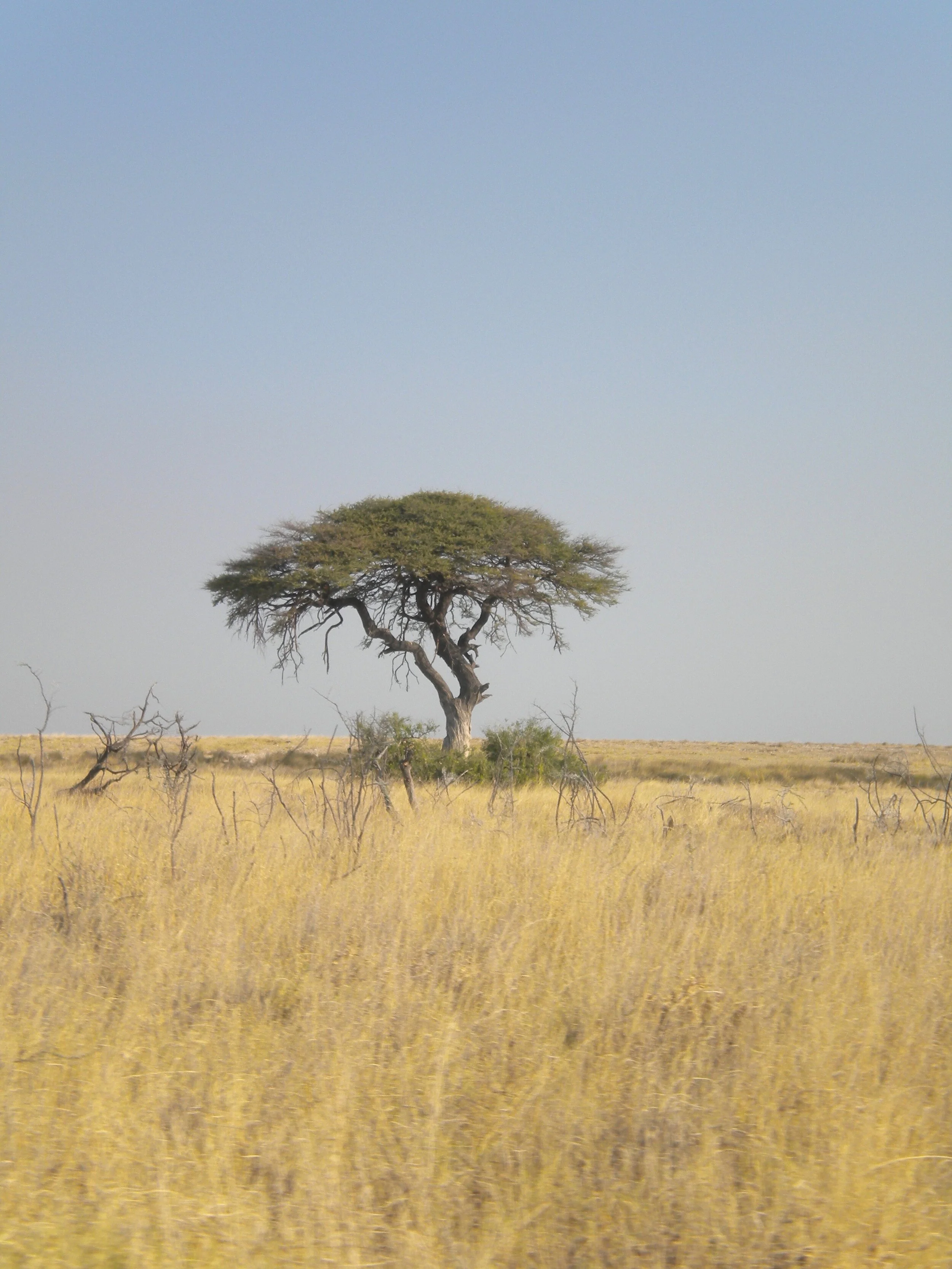 Mindful Mondays: Remembering the Ancestors