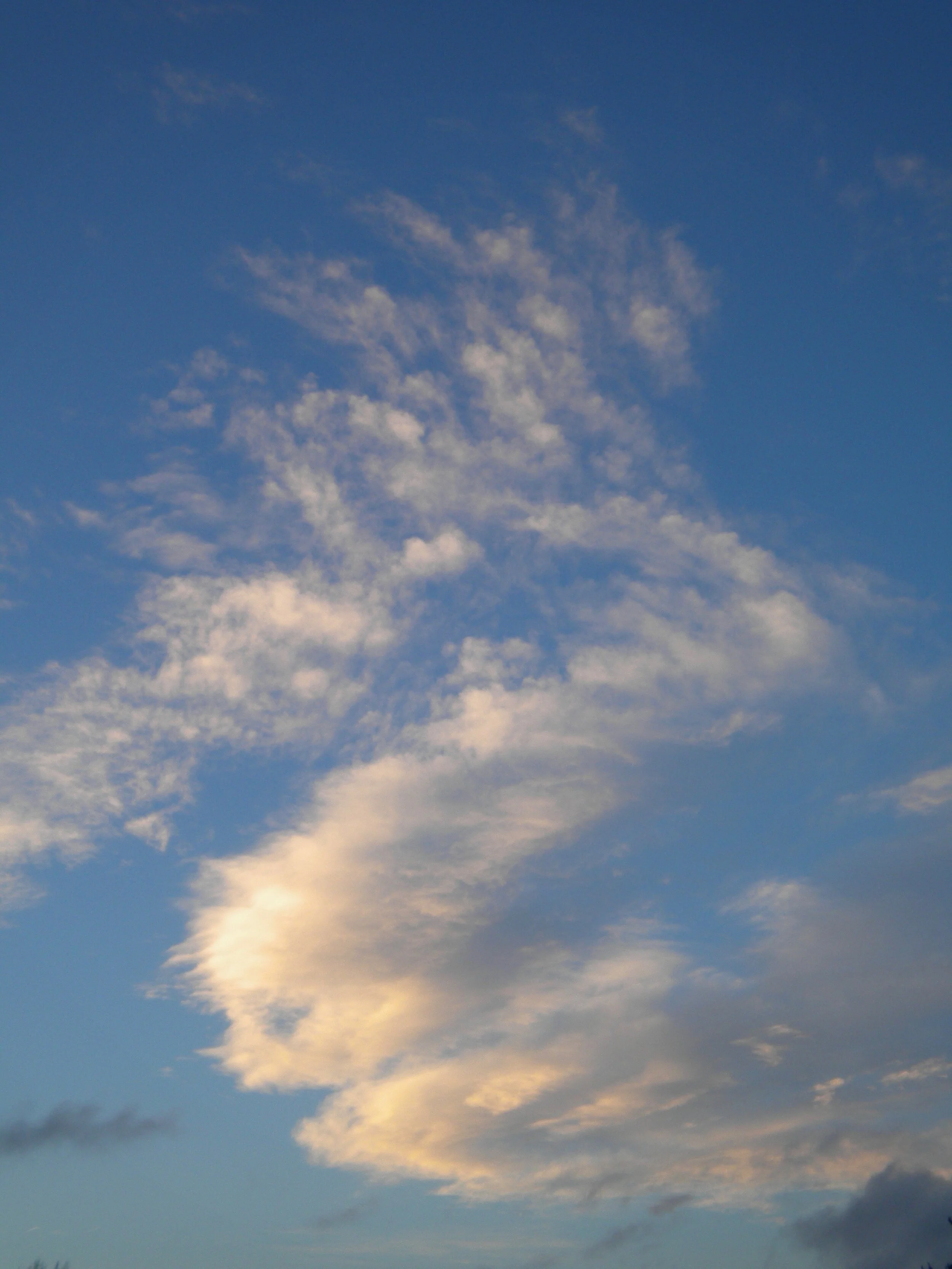 Mindful Mondays: Mother Nature