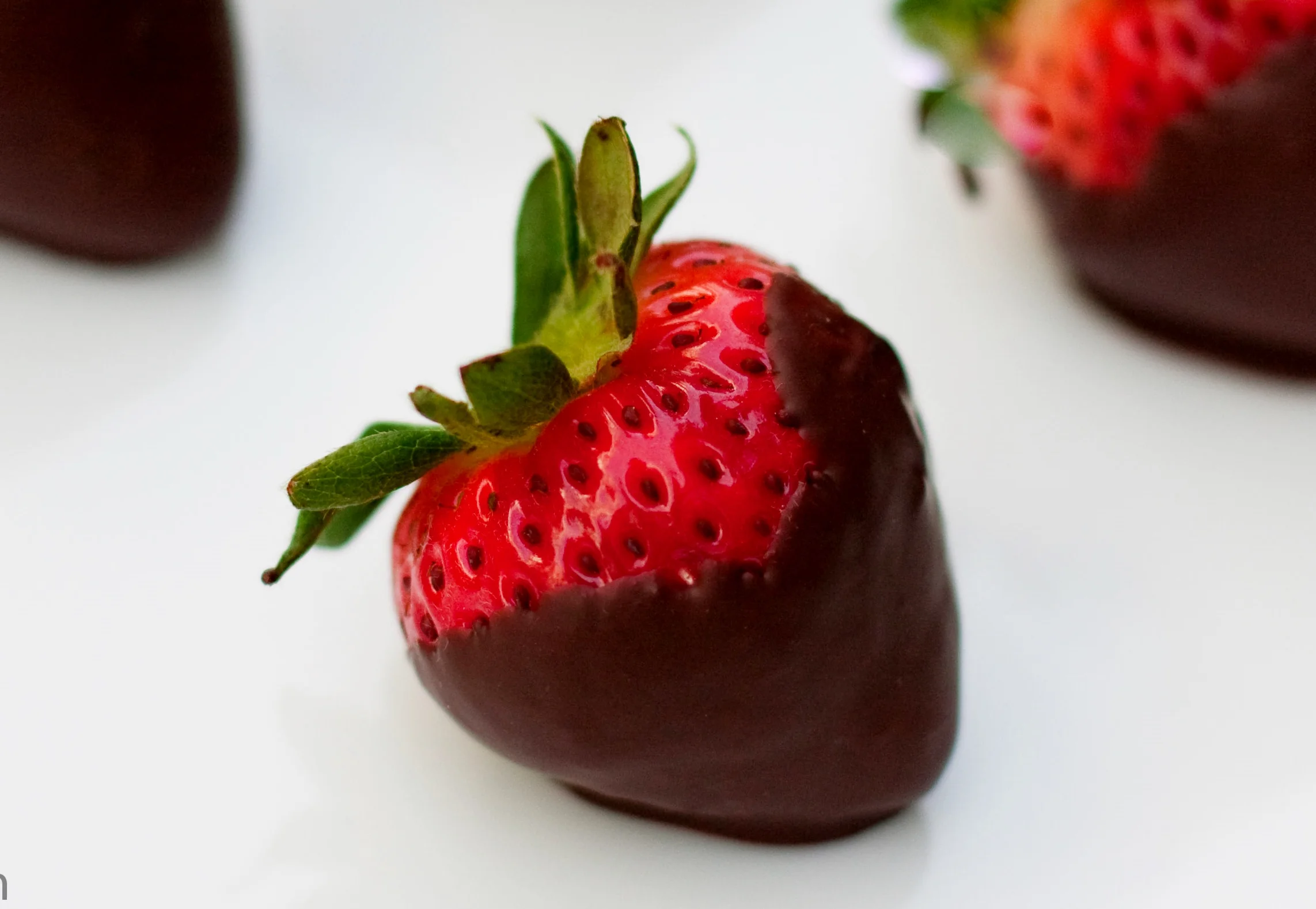 Bruce Gregori and Chocolate Covered Strawberries with Entourage
