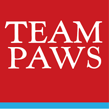 london marathon charity icon team paws.png