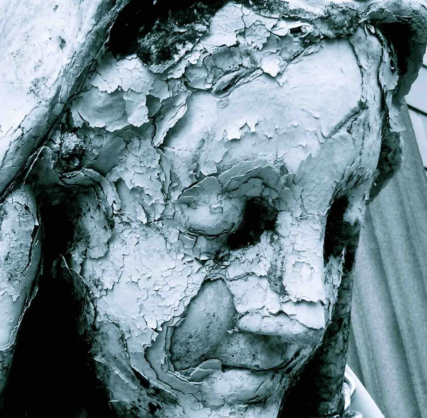 Blood & Roses image copy.jpg