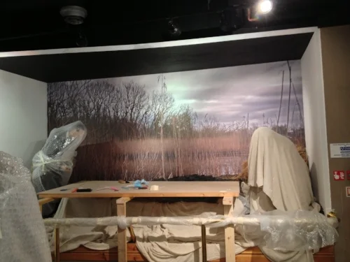 Moving 12th Century dugout canoe during refurbishment of Forfar Museum/The Meffan Institute
