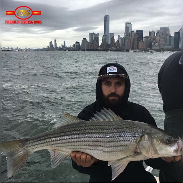 @_mr_victor Always Killin It!  Make sure you chrck out @brooklynfishingclub !! -
-
-
#EbbFishing #brooklynfishingclub  #fishLI #PanFish #Seewhatsoutthere #outdoorslife #fishingDaily #instagramFishing #longislandfishing #outdoors #pennFishing #PicOfth