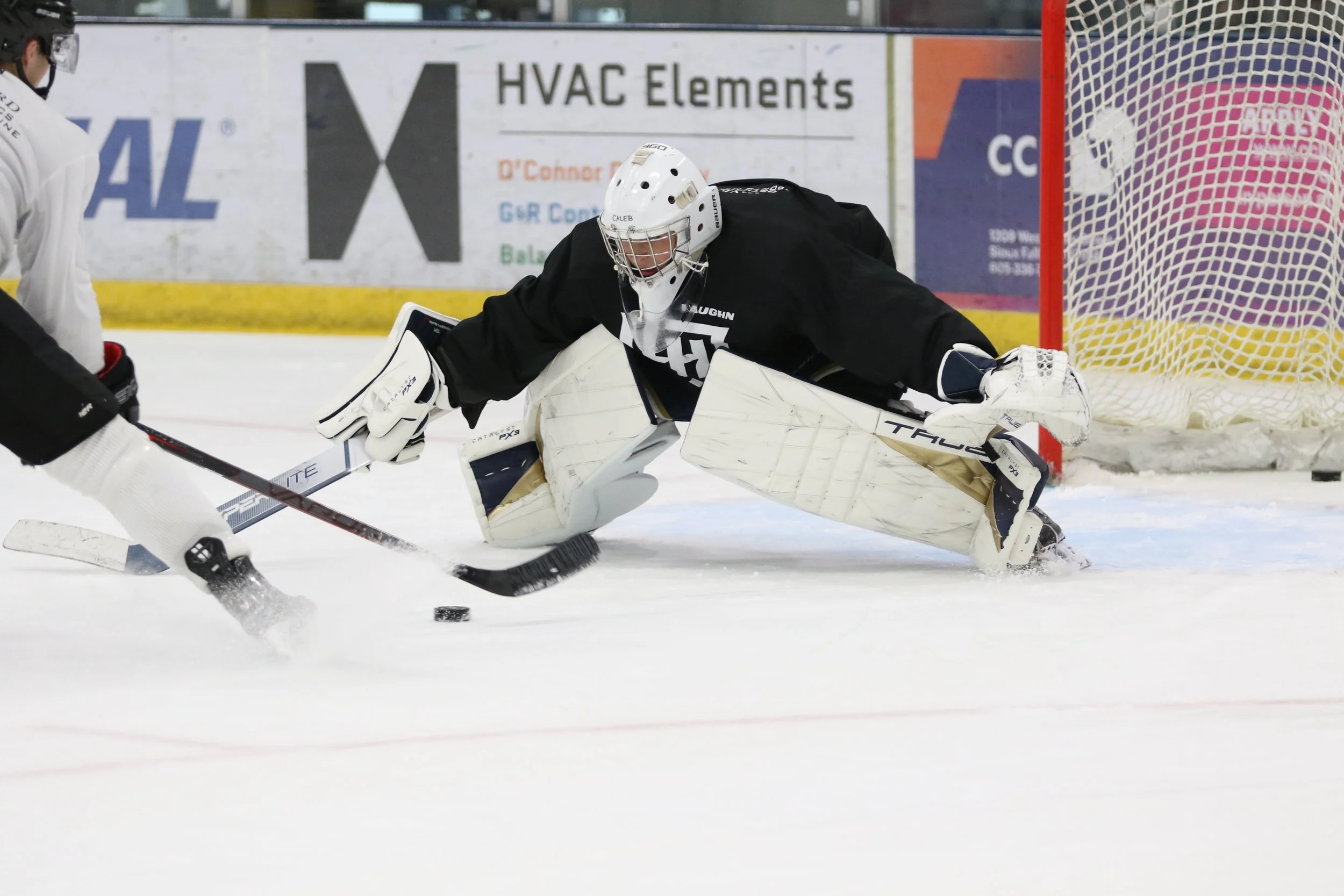 3O7A2157 (2).JPG