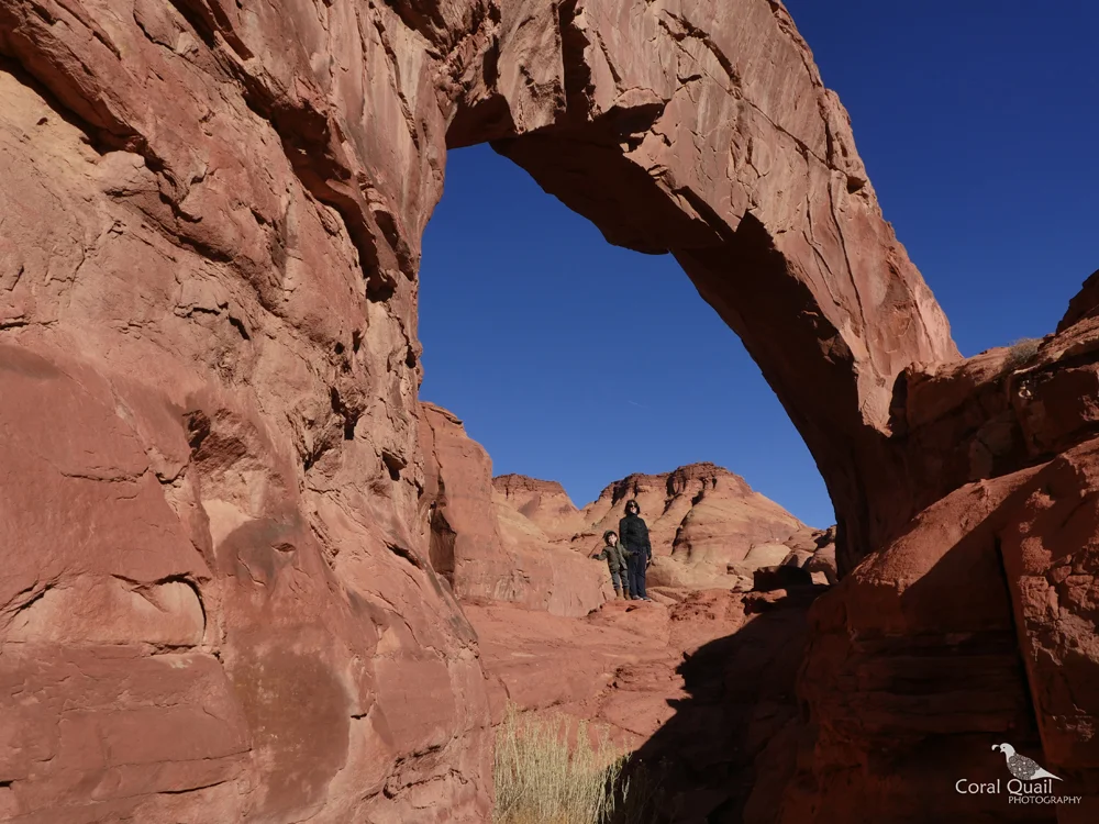Arch.jpg
